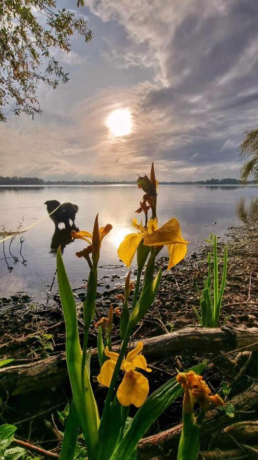 Hasenbau Flueren Villa Wesel  Bagian luar foto